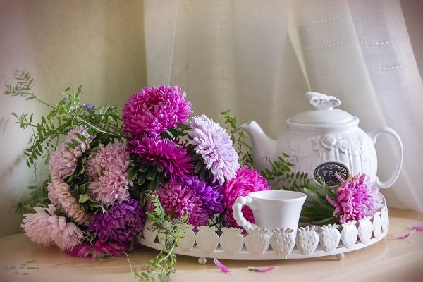 Доброго августовского дня