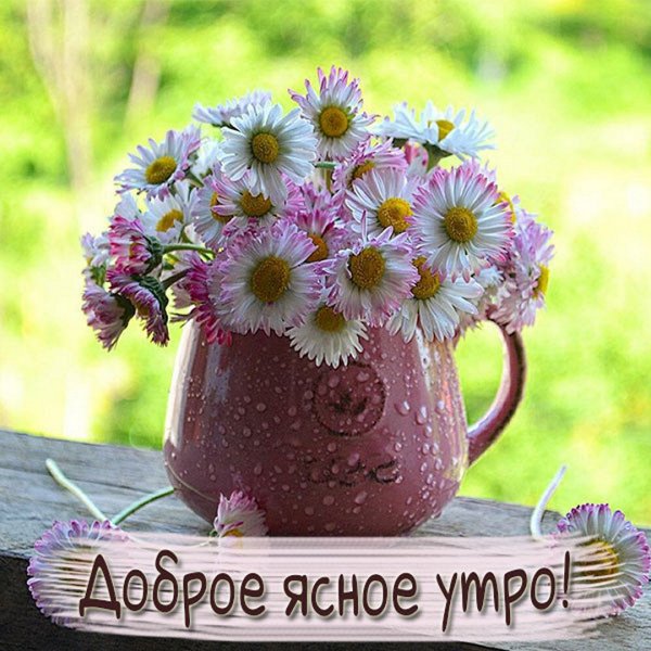 Чудесного летнего утра