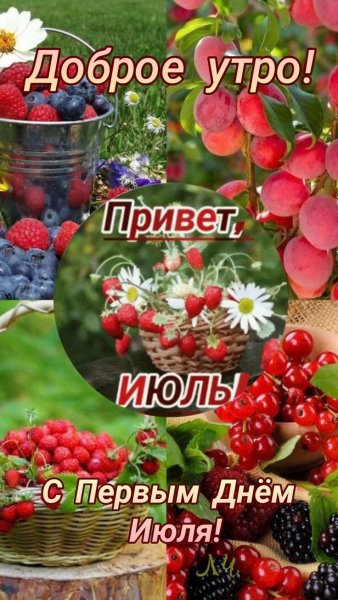 Последние летние деньки