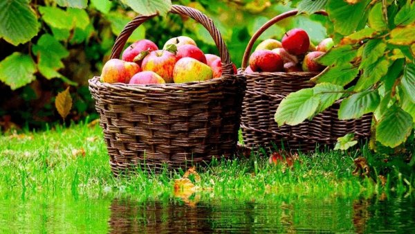 Доброе утро лето