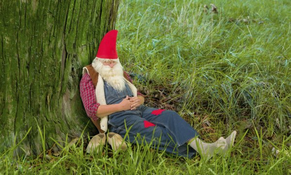 Гномик с ежиком