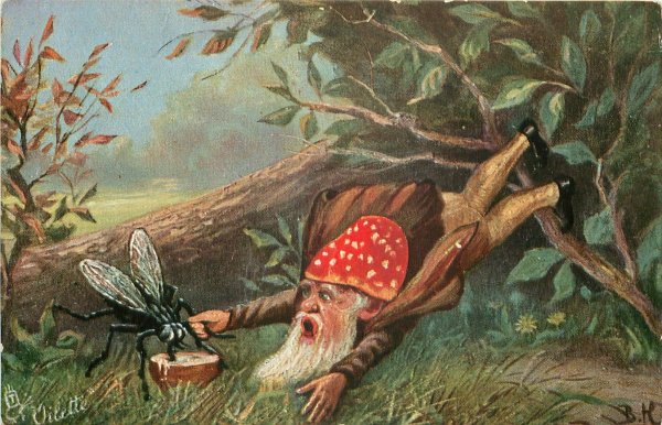 Гномы мухоморы