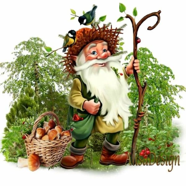 Старичок старичок новичек