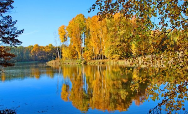 Осень бабье лето