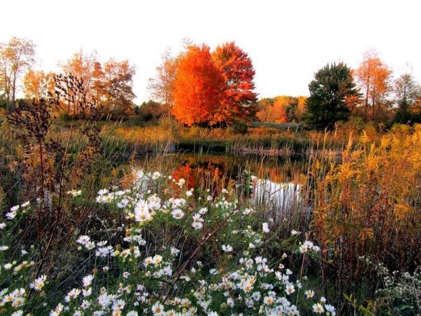 Красота бабьего лета