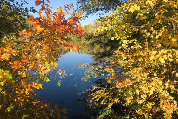 Золотая осень бабье лето