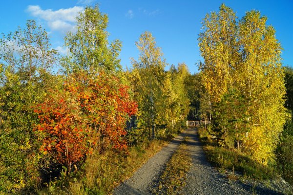 Бабье лето фото