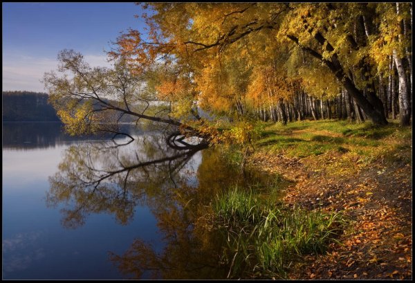 Осенний берег реки