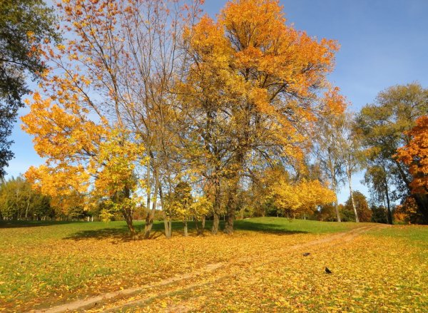 Бабье лето природа