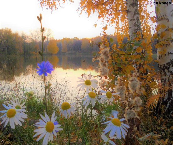 Доброе утро бабьего лета