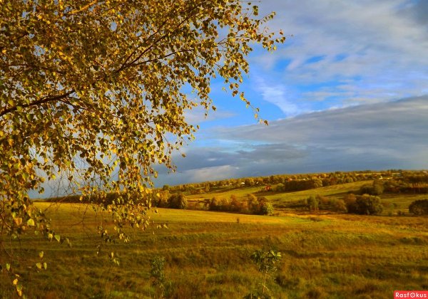Осенний пейзаж бабье лето