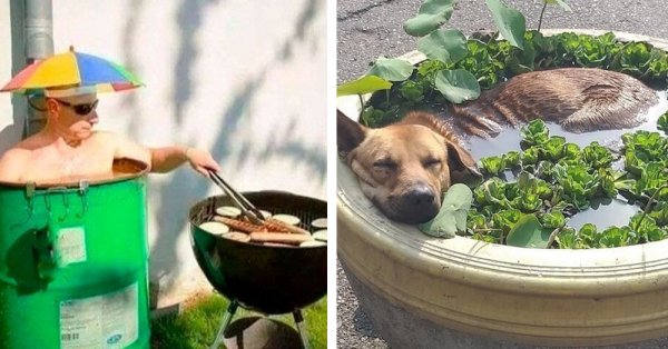 Приколы о жаре