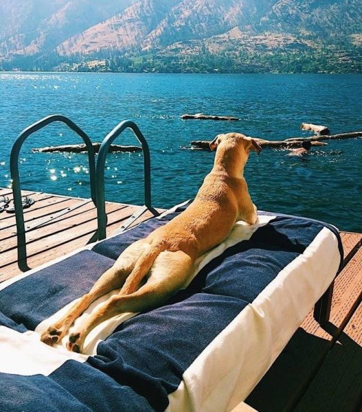 Приколы от жары