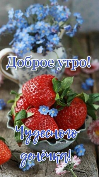 Солнечное утро