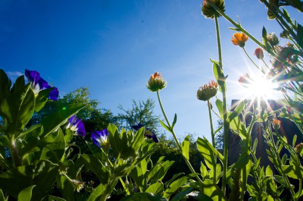 Рассвет души