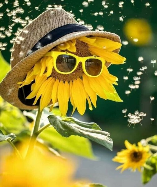 Доброе солнечное утро лето