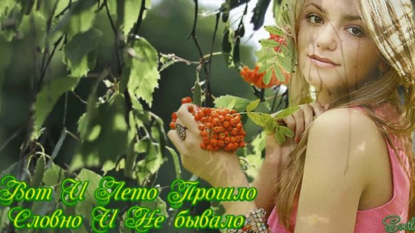 Лето прошло