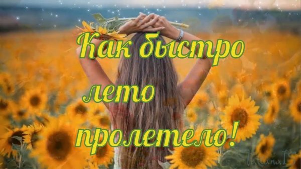 Лето закончилось