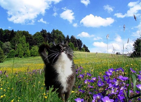 Уходящее лето