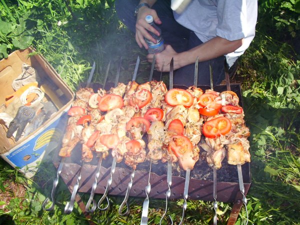 Шашлыки на даче летом