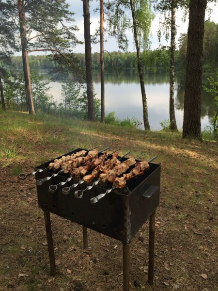 Шашлык на мангале