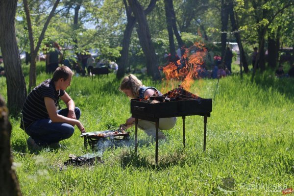 Шашлыки на природе вечером
