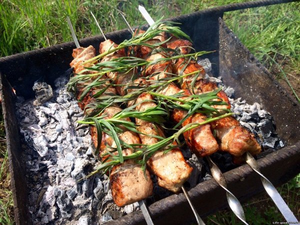 Весна шашлыки природа