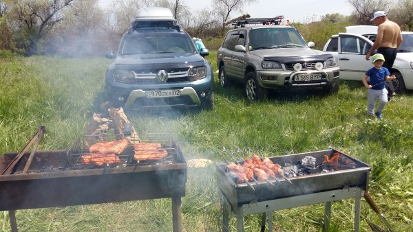 Шашлык в машине