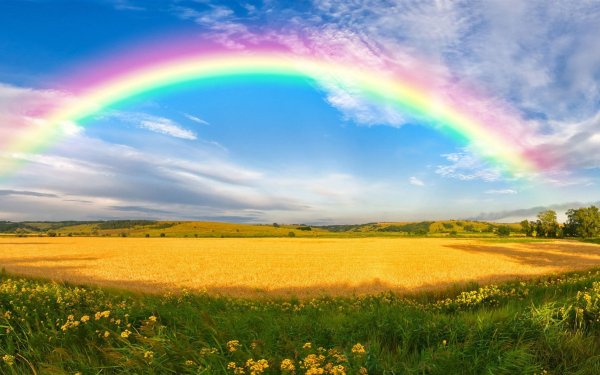 Красивая природа