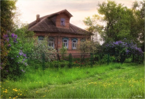 Деревенский домик летом