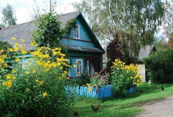 Русская деревня палисадники