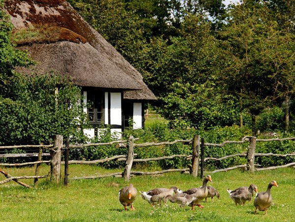 Деревня летом