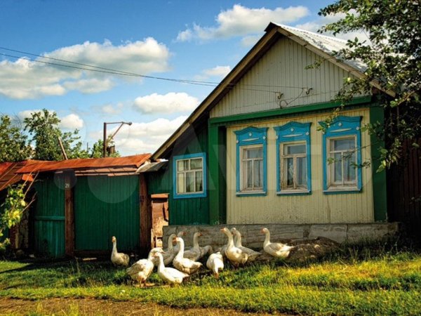 Дом с хозяйством в деревне