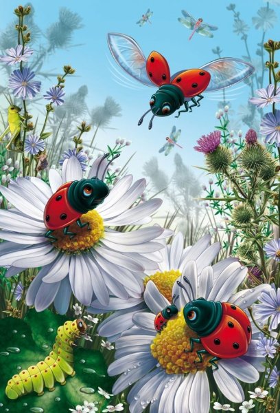 Божья коровка на ромашке