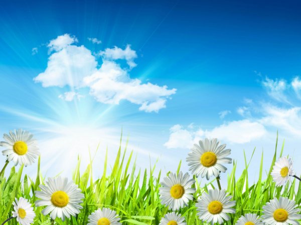 Лето надпись