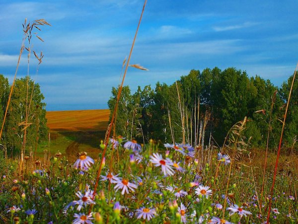 Август природа