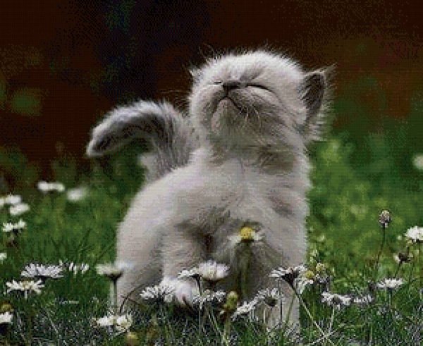 Учуял запах