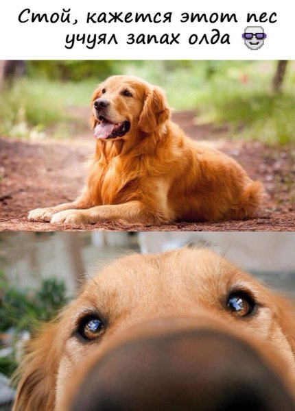 Пахнет пятницей