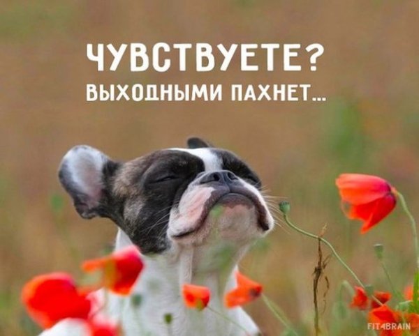 Художница Виктория Кирдий