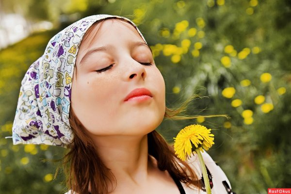 Чувствуете Роберт Дауни младший