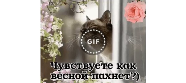 Чувствуете выходными пахнет картинки