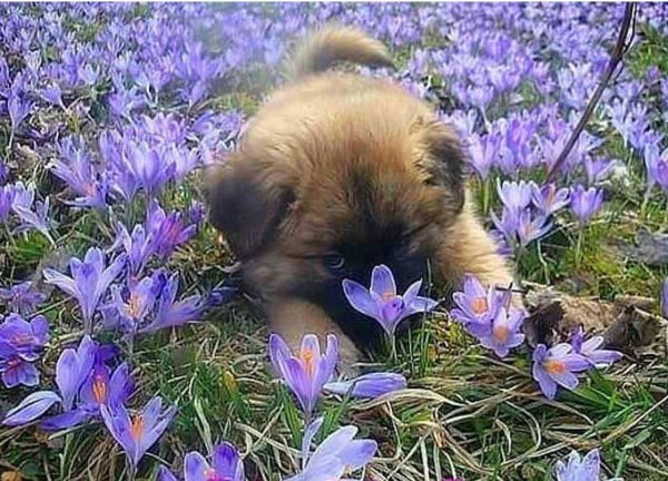 Бабочка на носу