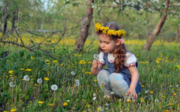 Дети на лугу