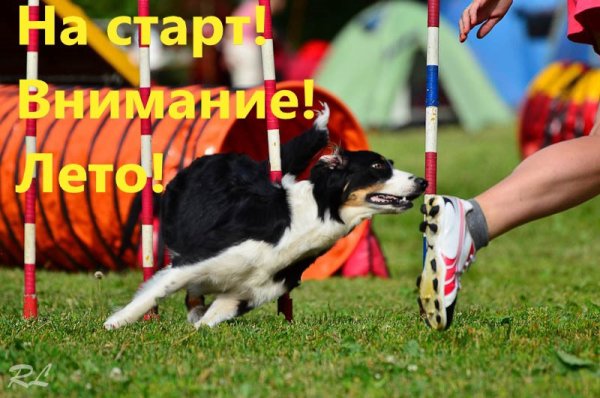 Физическая культура