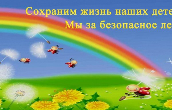 Безопасное лето картинки