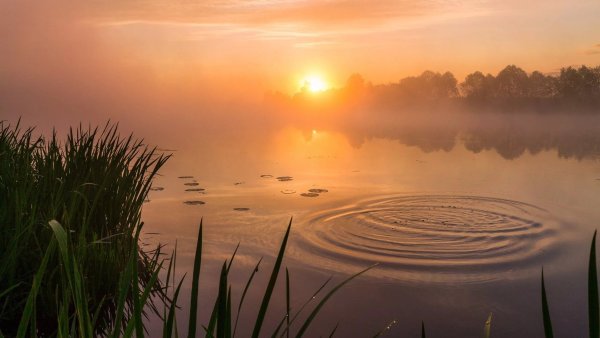 Рассвет на озере