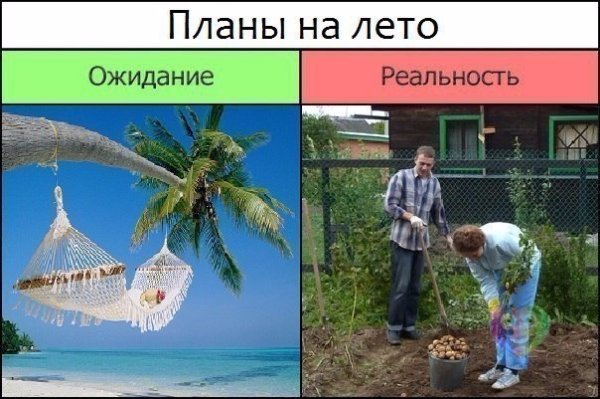 Лето ожидание реальность