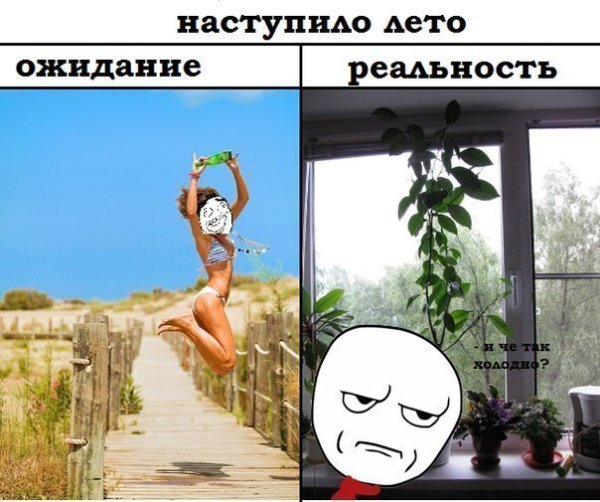Лето ожидание реальность