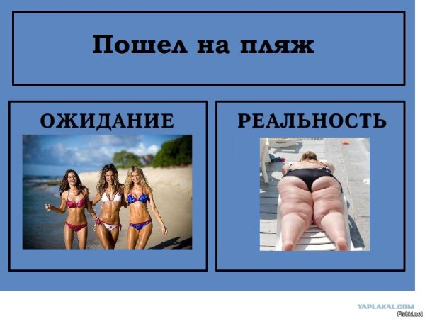 Ожидание реальность