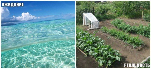 Девушка в интернете ожидание реальность